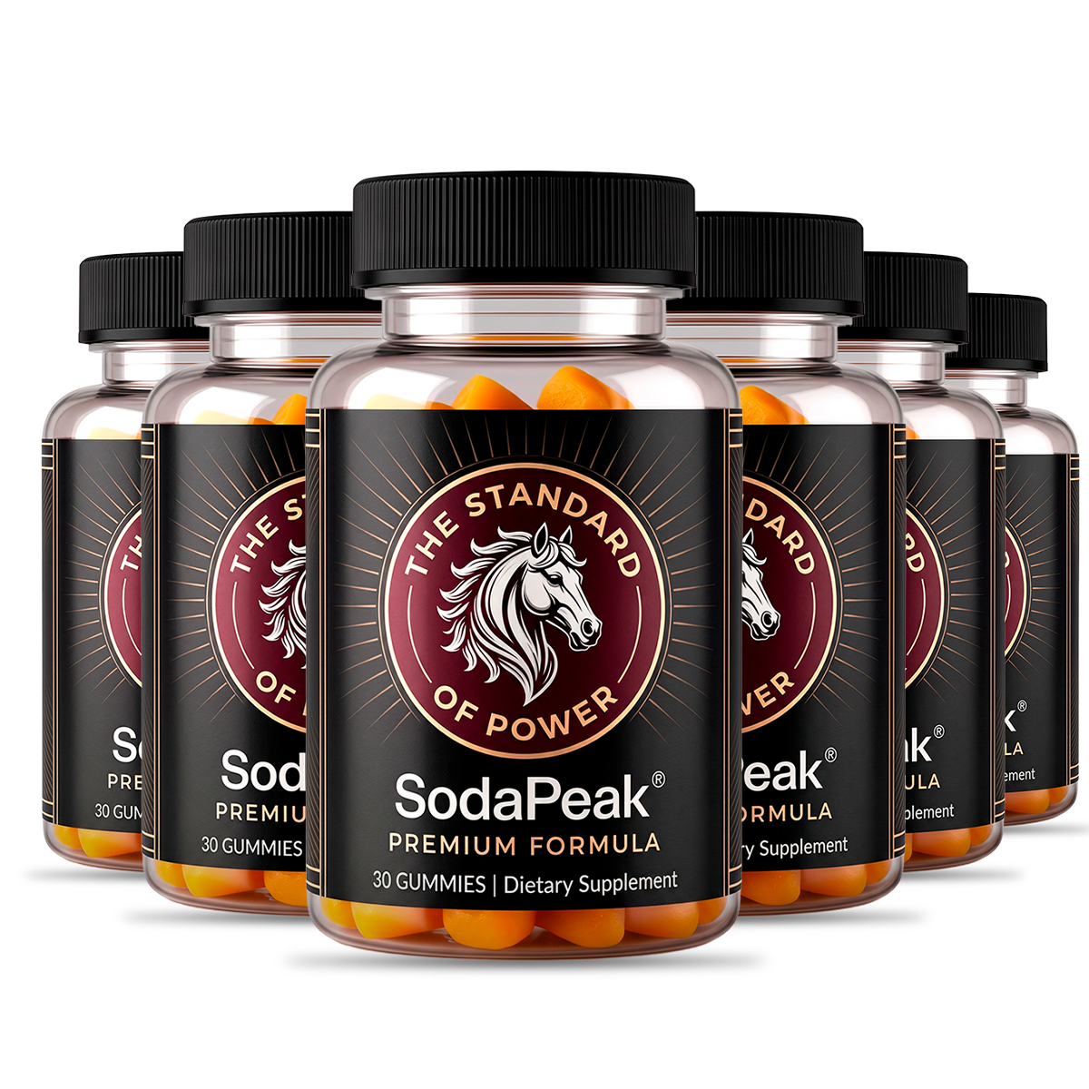 SodaPeak 6 bottles best value